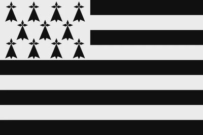 Breton Courtesy Flag (Brittany) - 30 x 45cm
