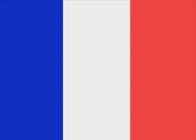 France Courtesy Flag
