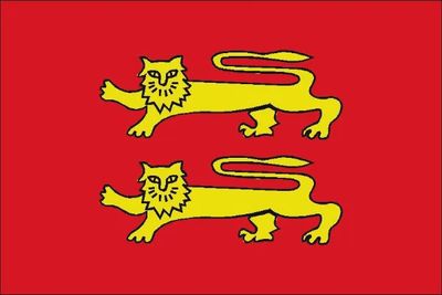 Normandy Courtesy Flag - 30 x 45cm