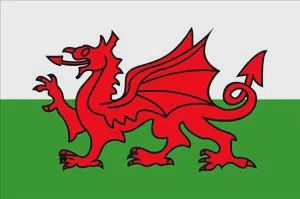 Welsh Dragon Flag - 30 x 45cm
