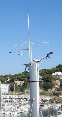 Stop Gull Topmast