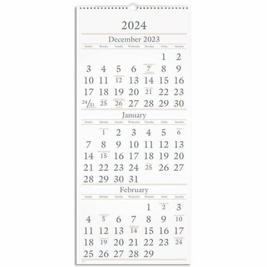 At-A-Glance 3-Month Wall Calendar - Large Size - Monthly - 15 Month - December 2023 - February 2025 - 3 Month Single Page Layout - 12" x 27" White Sheet - Wire Bound - Blue, White - Paper - Hanging Lo