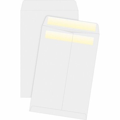Business Source Press/Seal Catalog Envelopes - Catalog - 6&quot; Width x 9&quot; Length - 28 lb - Self-sealing - 100 / Box - White