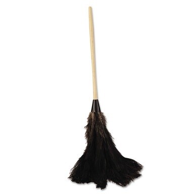 Professional Ostrich Feather Duster, 16&quot; Handle