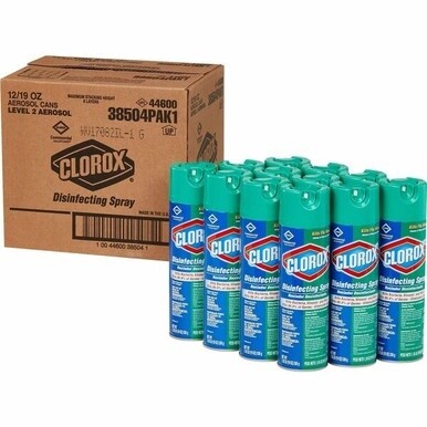 Clorox Commercial Solutions Disinfecting Aerosol Spray - 19 fl oz (0.6 quart) - Fresh Scent - 12 / Carton - Pleasant Scent, Disinfectant