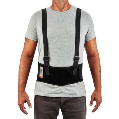 Ergodyne ProFlex 1600 Standard Back Support Brace - 38&quot; - 42&quot; Waist Size - Black - Elastic, Polypropylene, Rubber