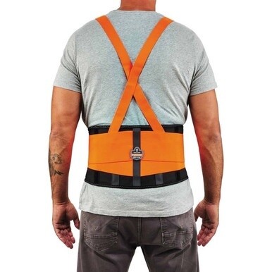 Ergodyne ProFlex 100HV Economy Hi-Vis Back Brace - 25&quot; Waist Size - Orange - Rubber, Polypropylene, Spandex