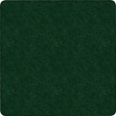 Flagship Carpets Amerisoft Solid Color Rug - 12 ft Length x 12 ft Width - Square - Emerald Green - Nylon, Polyester