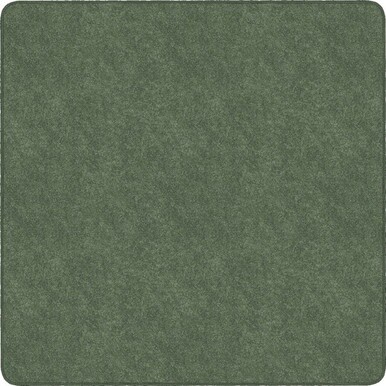 Flagship Carpets Amerisoft Solid Color Rug - 12 ft Length x 12 ft Width - Square - Sage Green - Nylon, Polyester