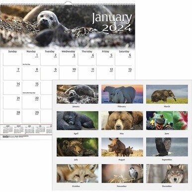 House of Doolittle Earthscapes Wildlife Wall Calendars - Julian Dates - Monthly - 1 Year - January 2024 - December 2024 - 1 Month Single Page Layout - 12&quot; x 12&quot; Sheet Size - 1.63&quot; x 1.63&quot; Block - Wire