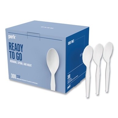 Mediumweight Plastic Cutlery, Teaspoon, White, 300/Pack