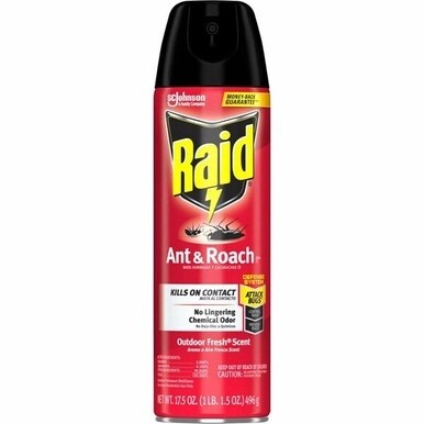 Raid Ant &amp; Roach Killer Spray - Spray - Kills Cockroaches, Ants, Silverfish, Water Bugs, Palmetto Bug, Carpet Beetle, Earwig, Spider, Lady Beetle, Black Widow Spider, Crickets, ... - 1.09 lb - Clear -