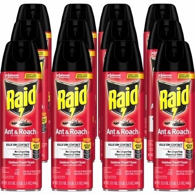 Raid Ant &amp; Roach Killer Spray - Spray - Kills Cockroaches, Ants, Silverfish, Water Bugs, Palmetto Bug, Carpet Beetle, Earwig, Spider, Lady Beetle, Black Widow Spider, Crickets, ... - 1.09 lb - Clear -