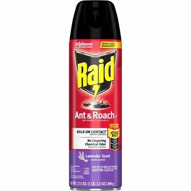 Raid Ant &amp; Roach Killer Spray - Spray - Kills Cockroaches, Ants, Water Bugs, Palmetto Bug, Silverfish, Carpet Beetle, Earwig, Spider, Lady Beetle, Black Widow Spider, Crickets, ... - 1.09 lb - Red - 1
