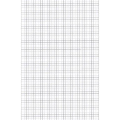 Ampad Graph Pad - 50 Sheets - Both Side Ruling Surface - 15 lb Basis Weight - Tabloid - 11" x 17" - White Paper - Chipboard Backing, Smudge Resistant - 1 / Pad