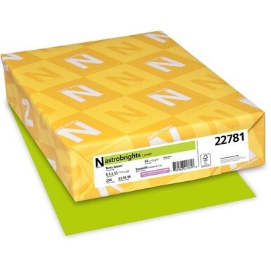 GSA MAS Astrobrights Color Card Stock - Terra Green - Letter - 8 1/2" x 11" - 65 lb Basis Weight - Smooth - 250 / Pack - Green Seal - Acid-free, Lignin-free, Durable, Heavyweight - Terra Green
