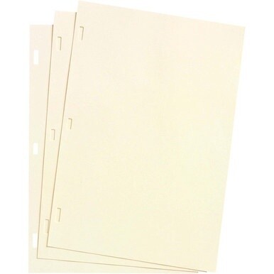 Wilson Jones Plain Ledger Paper - 28 lb - Letter - 8.50&quot; x 11&quot; Sheet Size - 3 x Holes - Ivory - Ivory Sheet(s) - 100 / Box