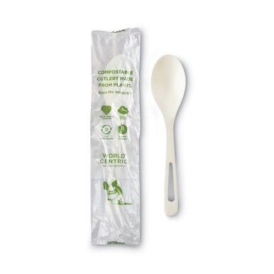 TPLA Compostable Cutlery, Spoon, 6&quot;, White, 750/Carton