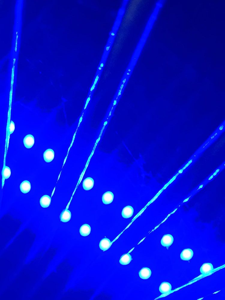 BLEU PHENIXOLOGIE