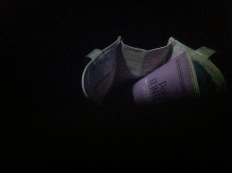 CHAUVE SOURIS