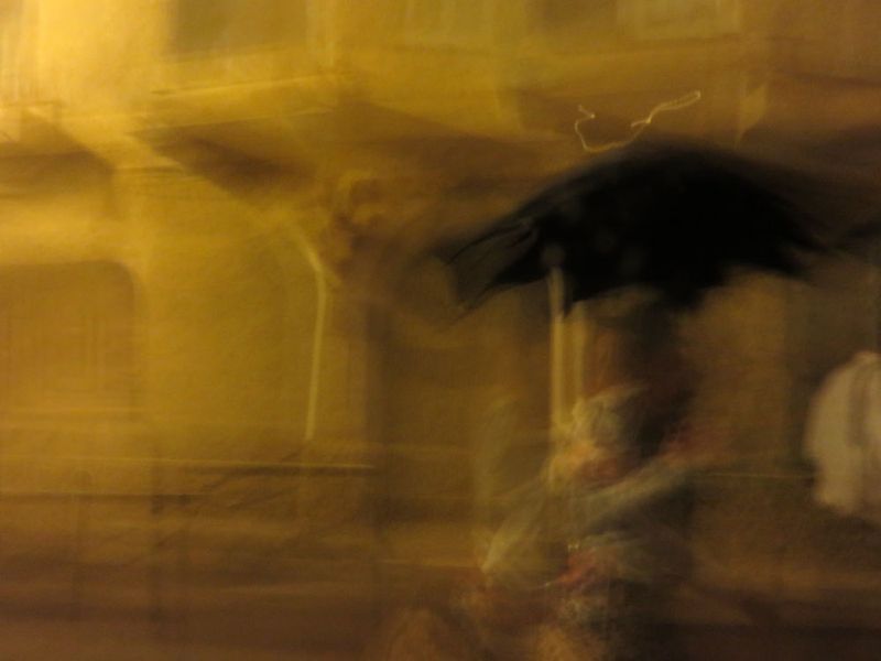 LA DAME AU PARANUIT