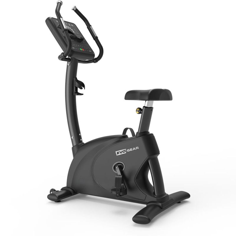 Bike Vertical E19