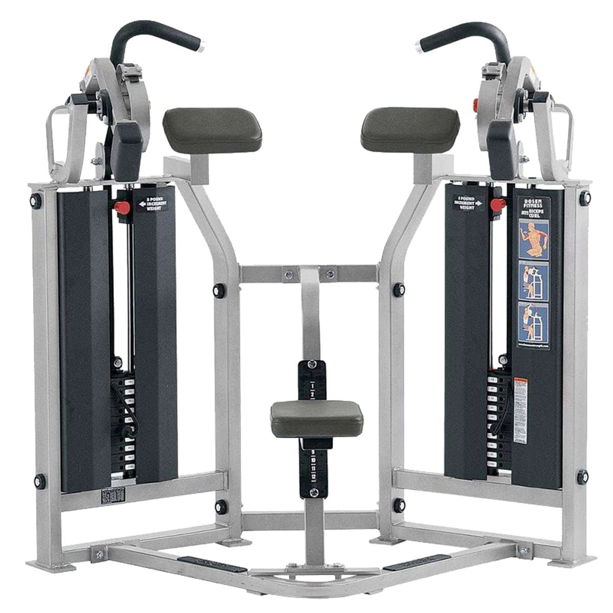 Biceps Curl