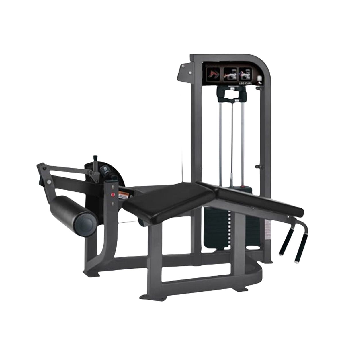 Mesa Flexora