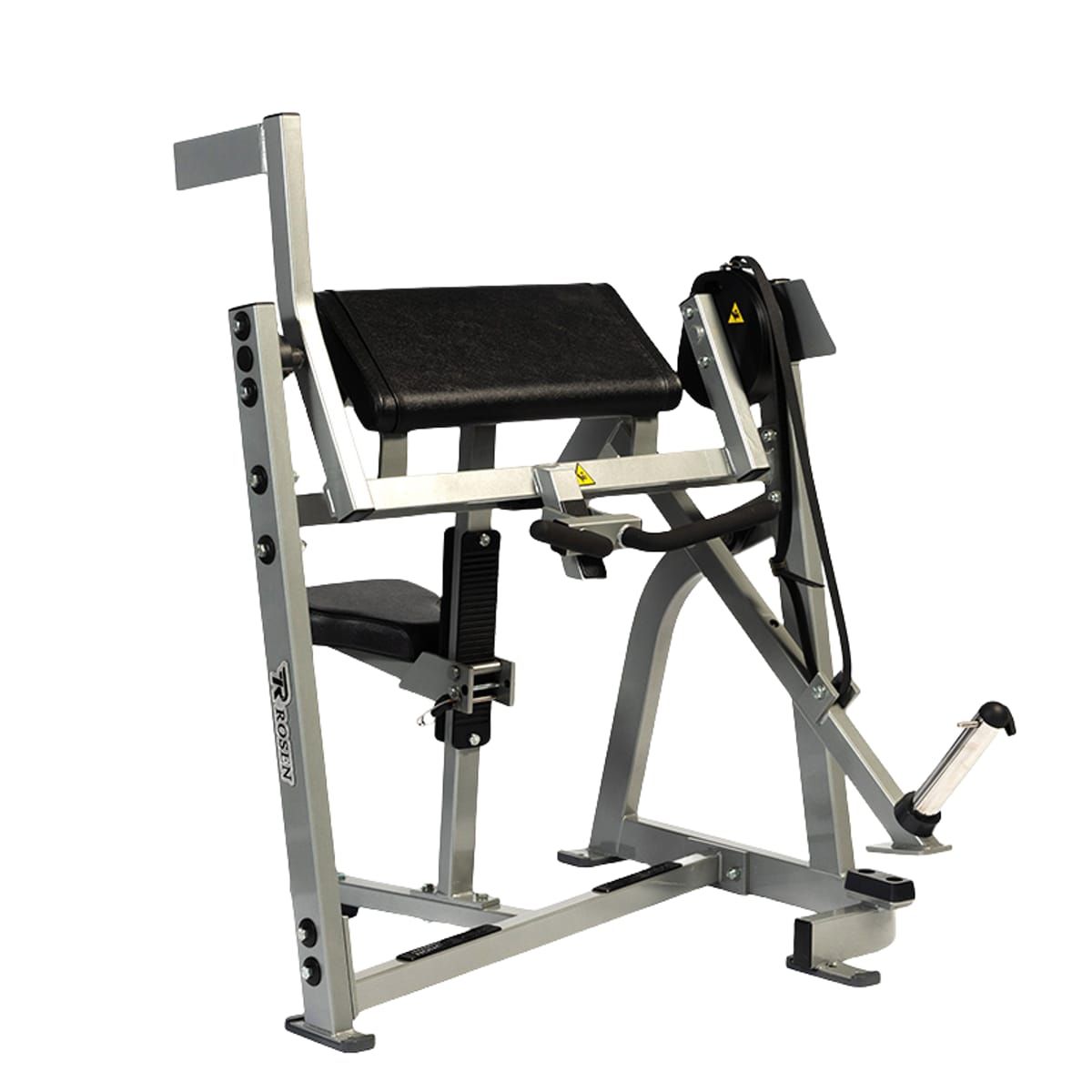Seated Biceps