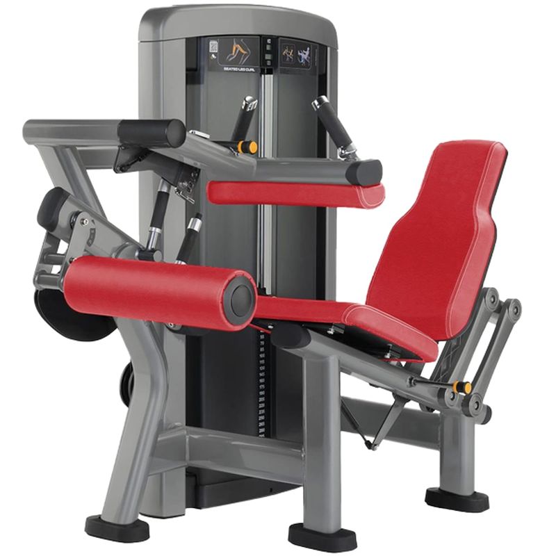 Seated Leg Curl