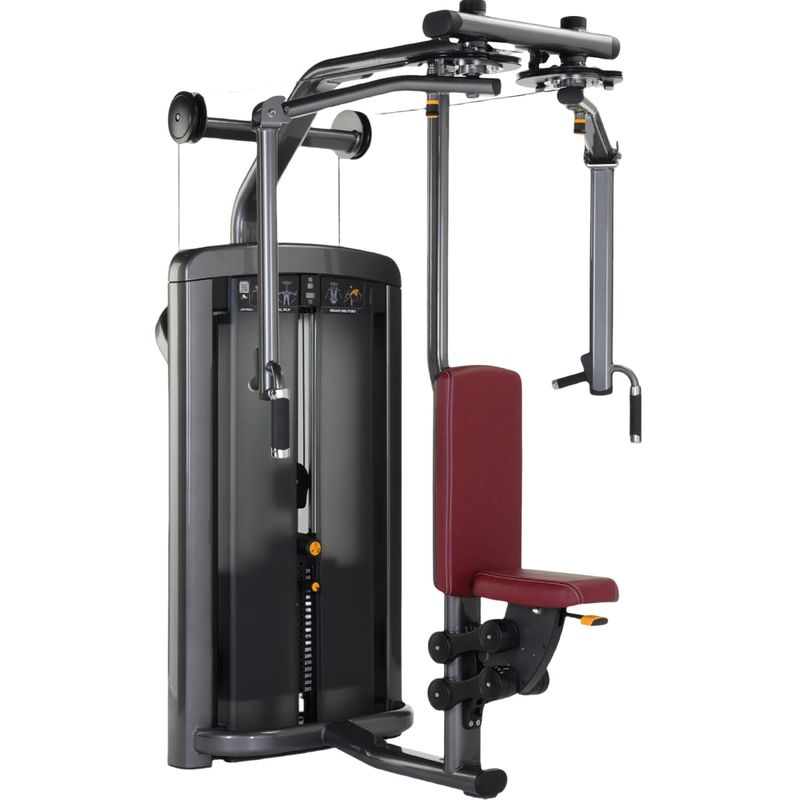 Pectoral Fly / Rear Deltoid