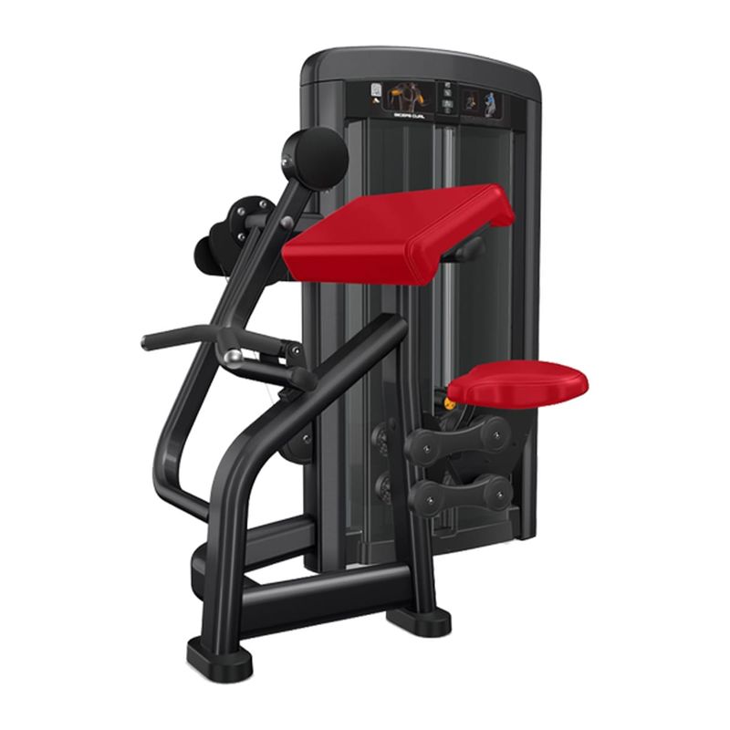 Biceps Curl Dependent Ascend Series