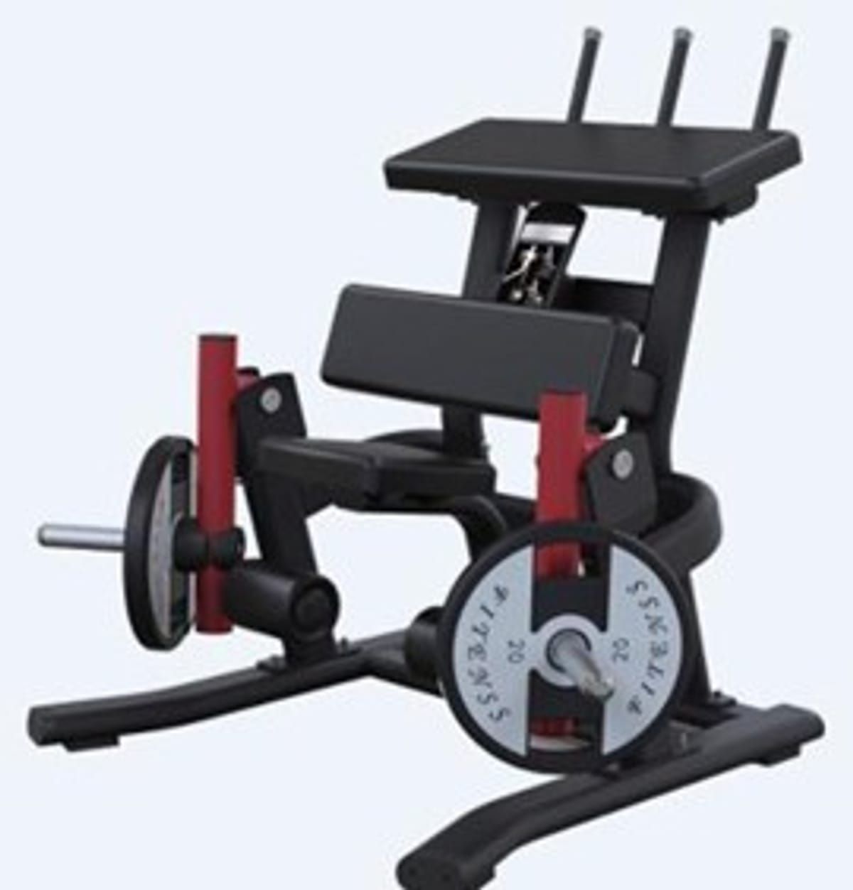 Mesa Flexora