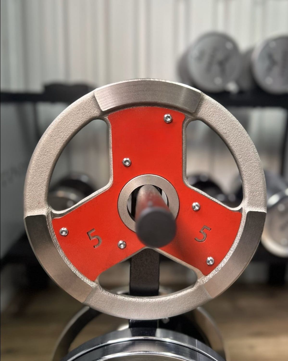 Anilha de Ferro Premium 25kg