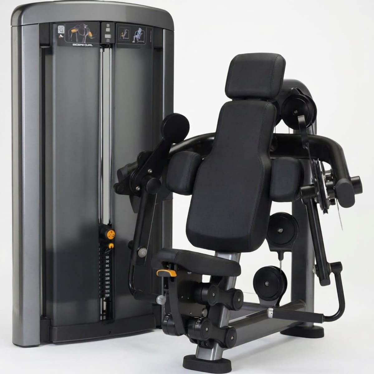 Bicep Curl Ascend Series Bicep Curl Ascend Series