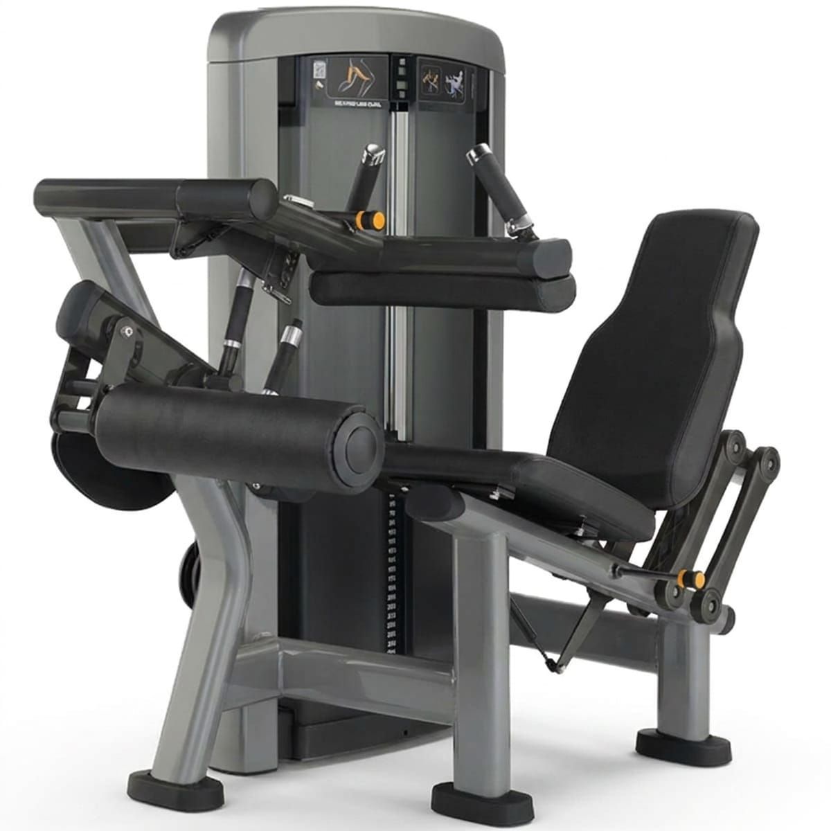 Seated Leg Curl Ascend Series Seated Leg Curl Ascend Series