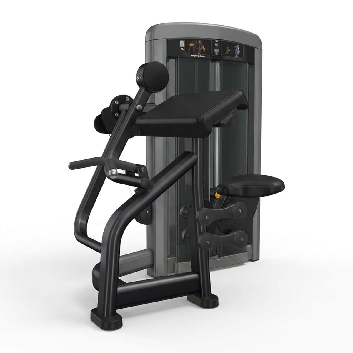 Biceps Curl Dependent Ascend Series Biceps Curl Dependent Ascend Series