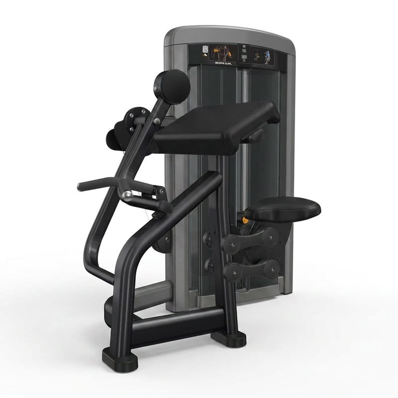 Biceps Curl Dependent Ascend Series