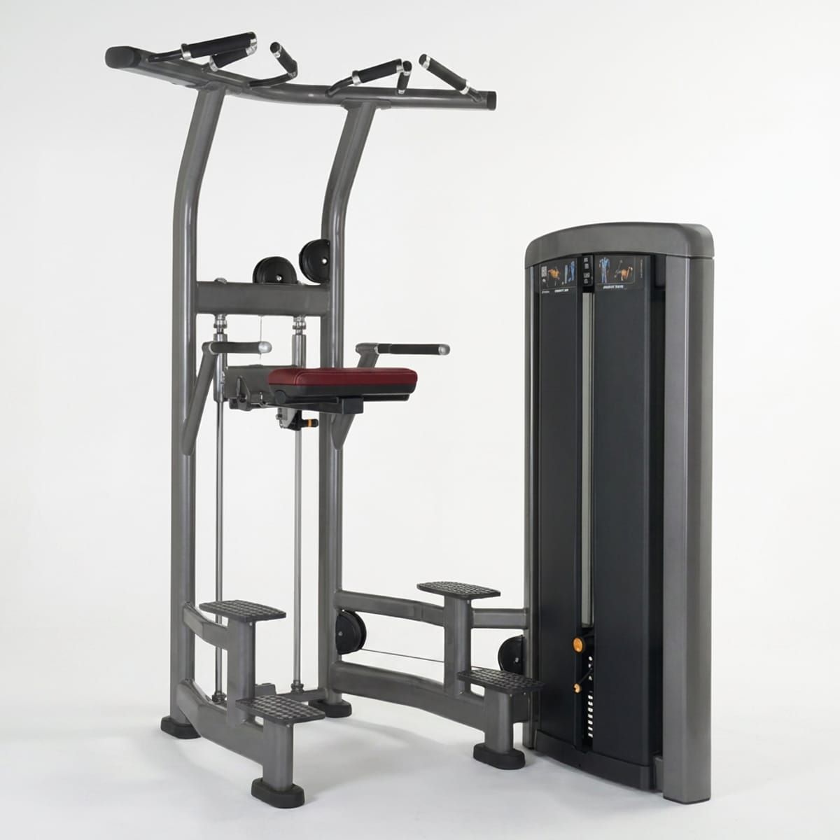 Assist Dip / Chin Ascend Series Assist Dip / Chin Ascend Series
