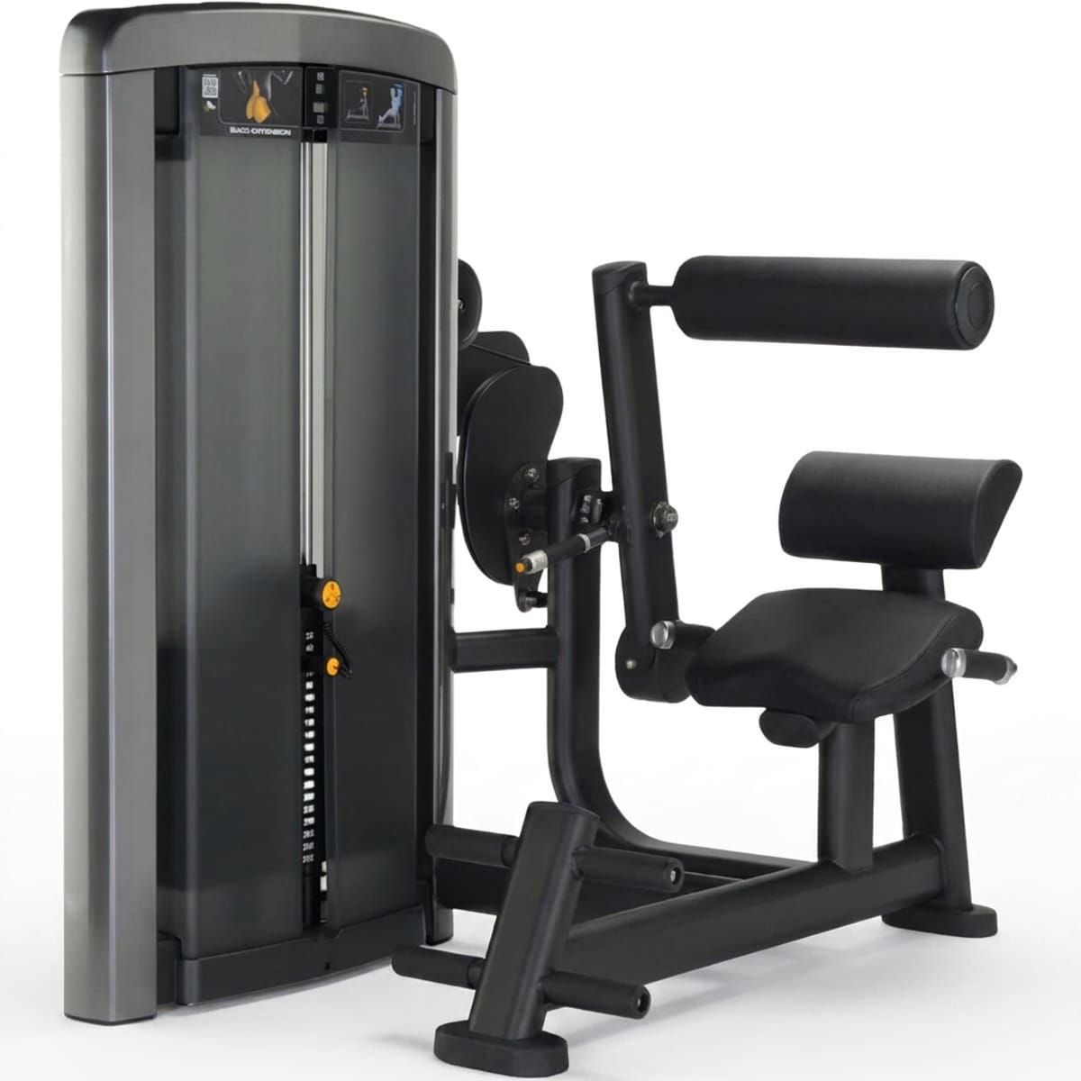 Back Extension Ascend Series