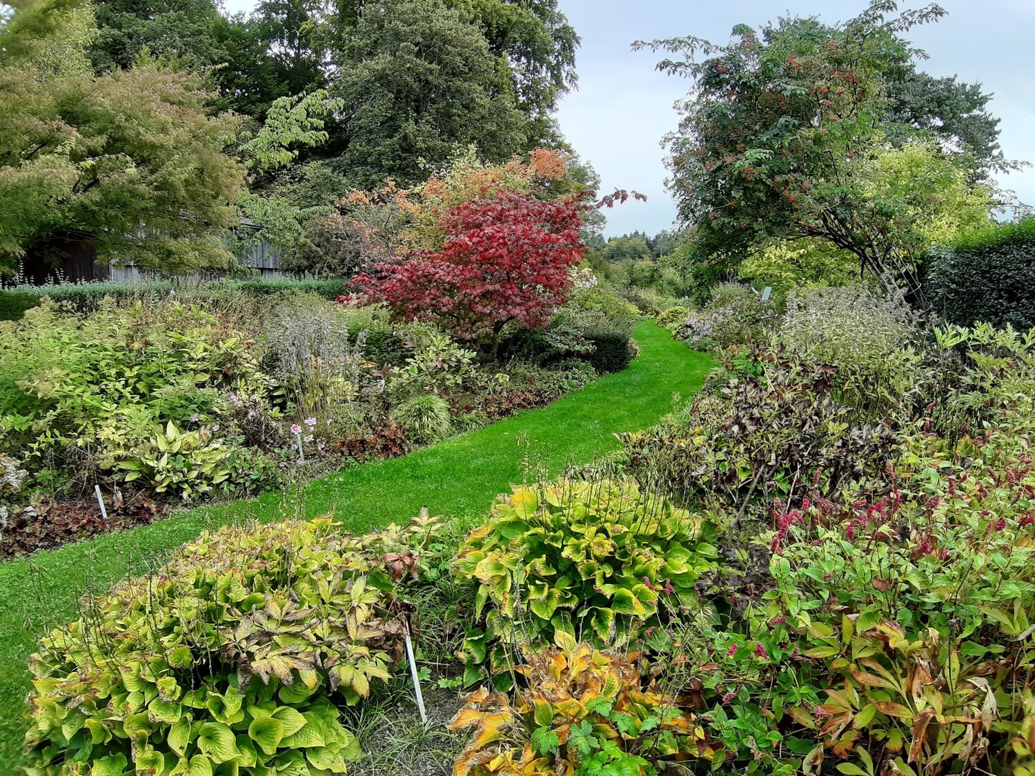 Gartenplanung / Gartenberatung