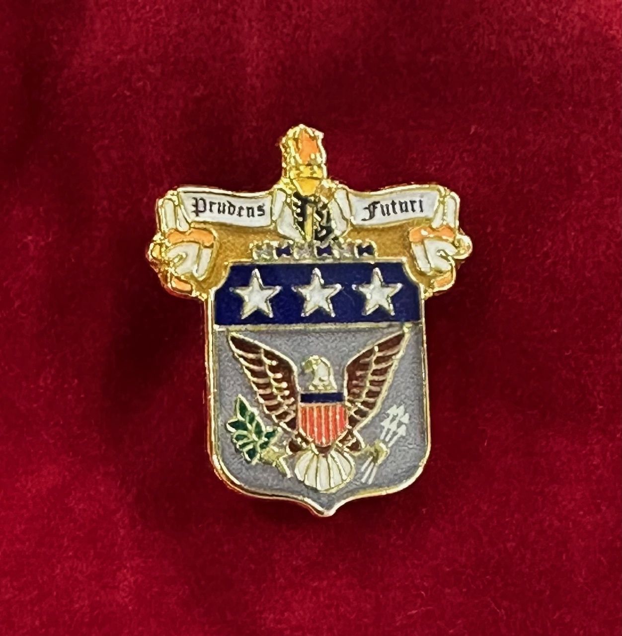 Lapel Pin, Colored Crest