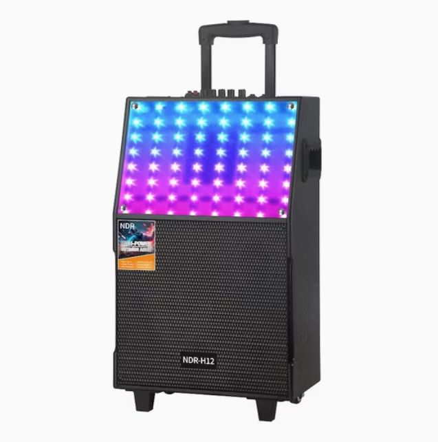 Ndr-H12 12inch Wooden Portable Speaker with Battery and Wireless Microphones