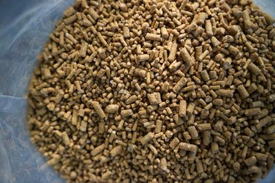 Pellet da Pastura