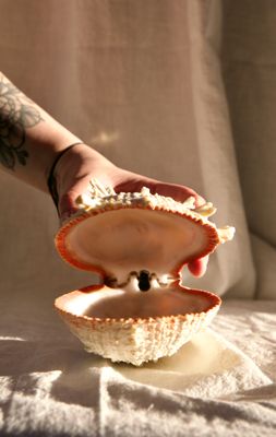 Ocean treasure - Big jewellery shell