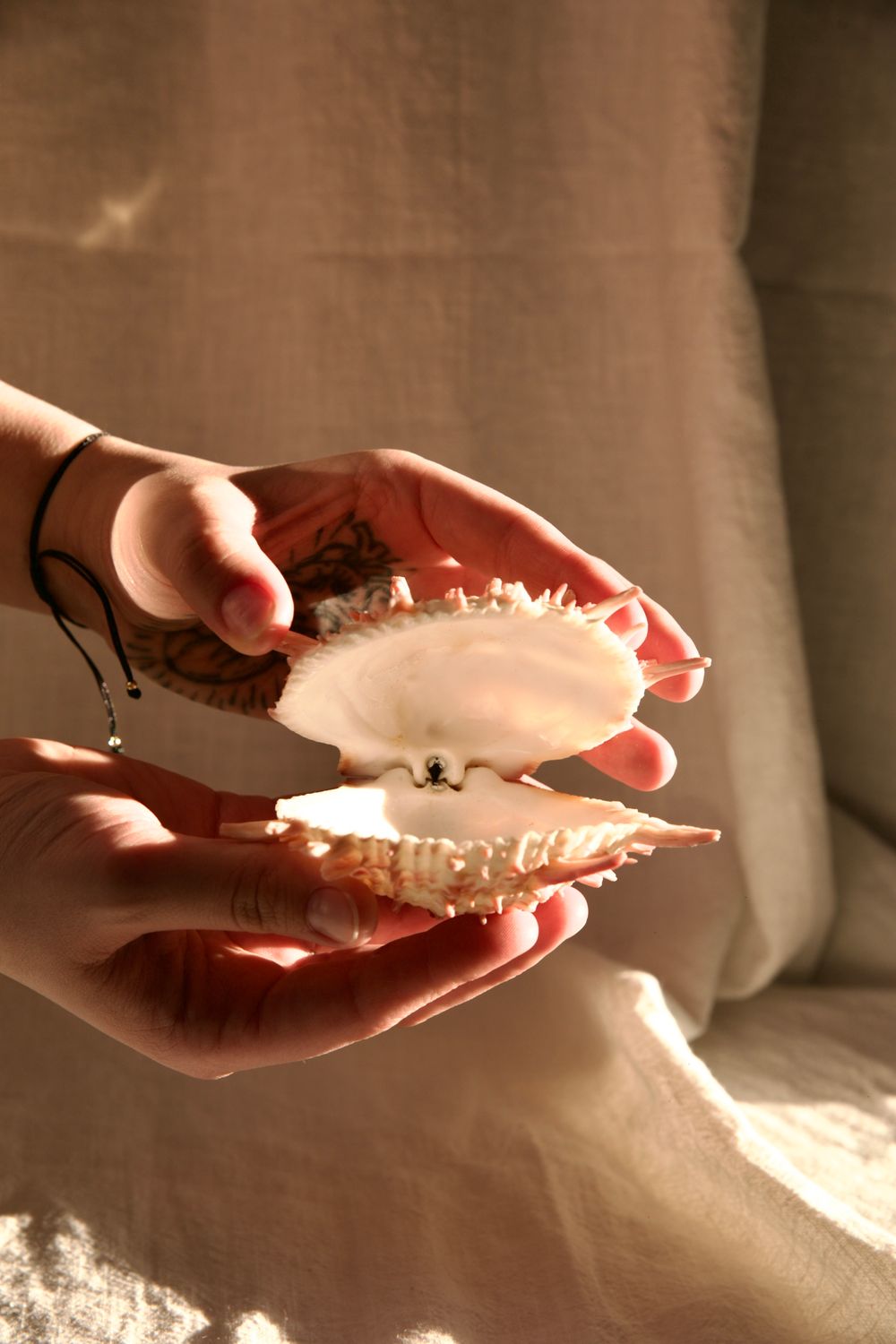 Ocean treasure - Mini jewellery shell
