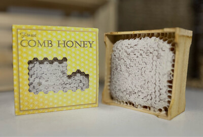 Honey Comb Section from Essex - Straight from the Hive