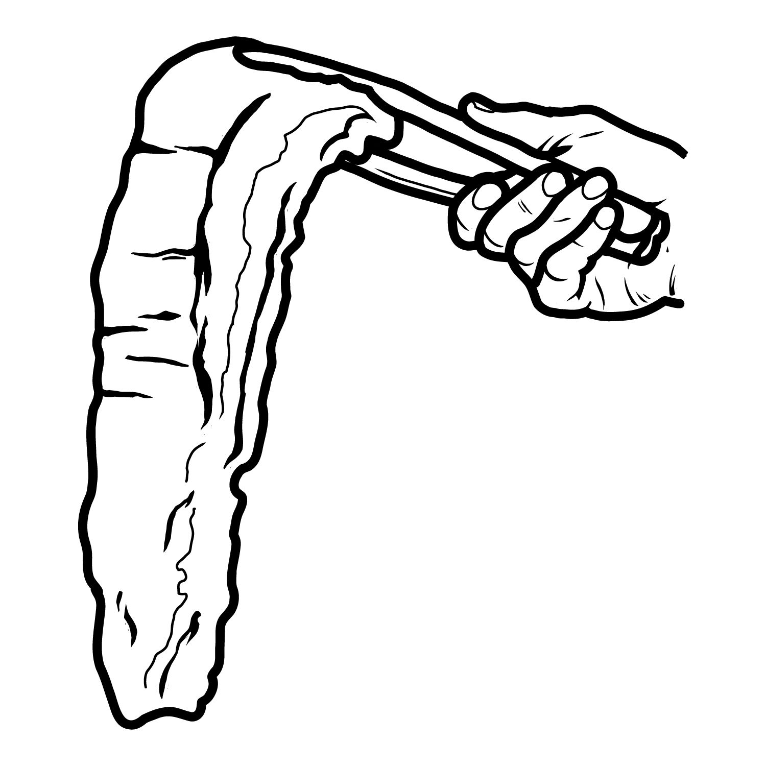 Rack of Ribs