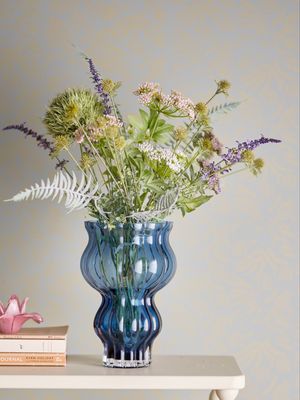 Zanna Case Glass