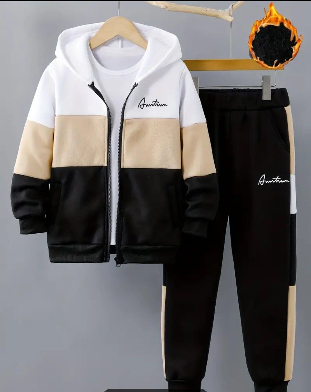 2-piece Boys Casual Warm Fleece Co Ord Set, Versatile Color Block Long Sleeve Zipper Hoodie And Jogger Pants Set For Winter Fall